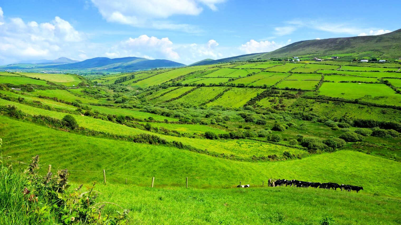 Hügel und Felder in der Landschaft von Irland
